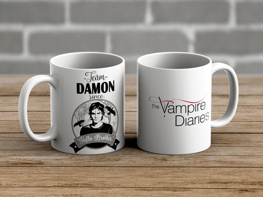 Vampire Diaries - Team Damon Šolja